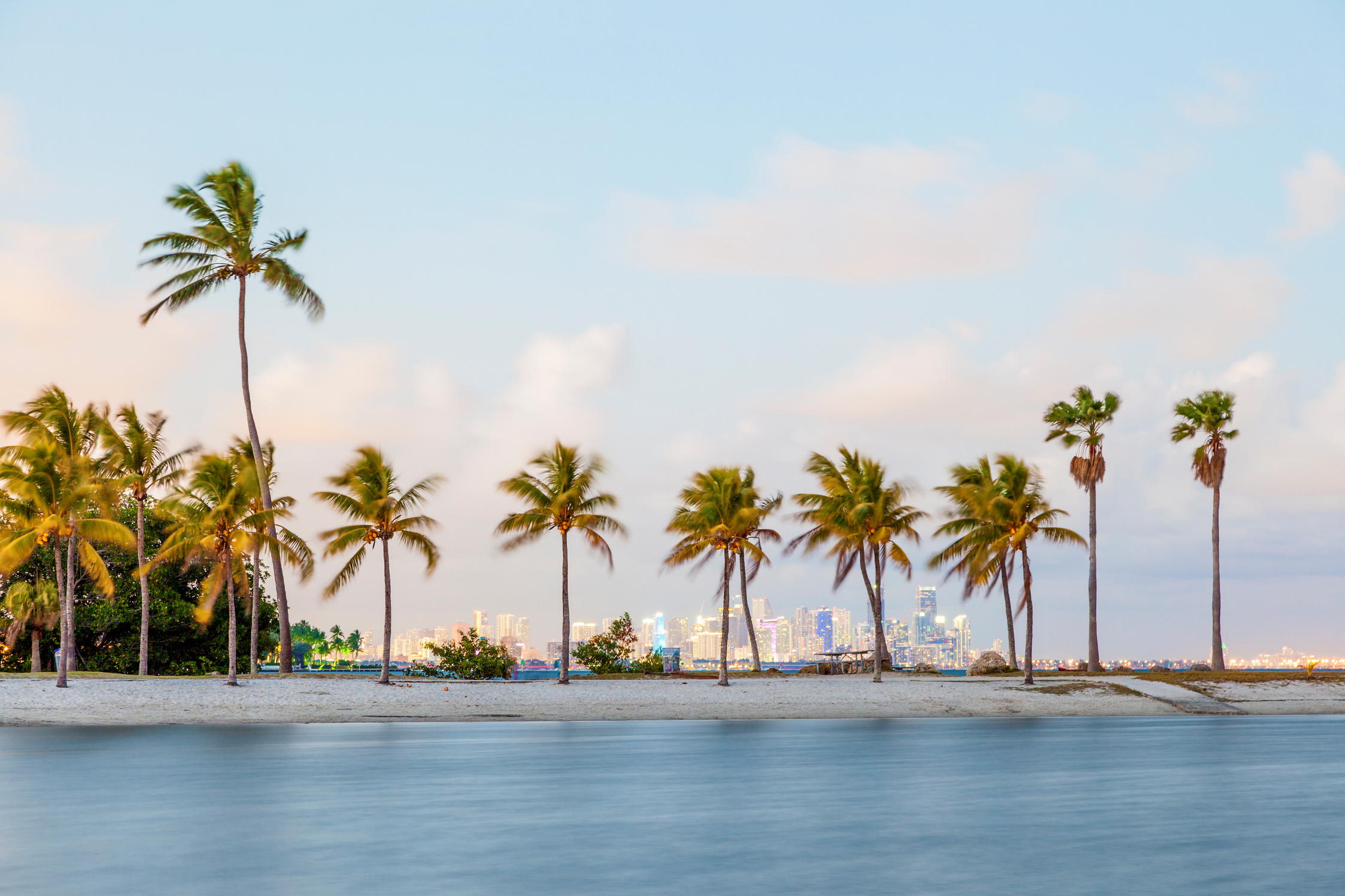 Tropical beach in Miami, Florida